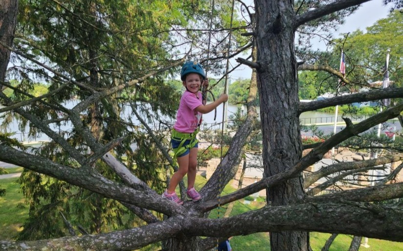 Tree Climbing at Wilson Park