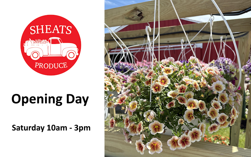 Sheats Opening Day